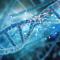 How to Effectively Explore and Analyze Multi-Omics Data: Experience Report on Our Web Interface