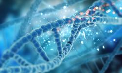 Featured image of post How to Effectively Explore and Analyze Multi-Omics Data: Experience Report on Our Web Interface
