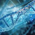 How to Effectively Explore and Analyze Multi-Omics Data: Experience Report on Our Web Interface